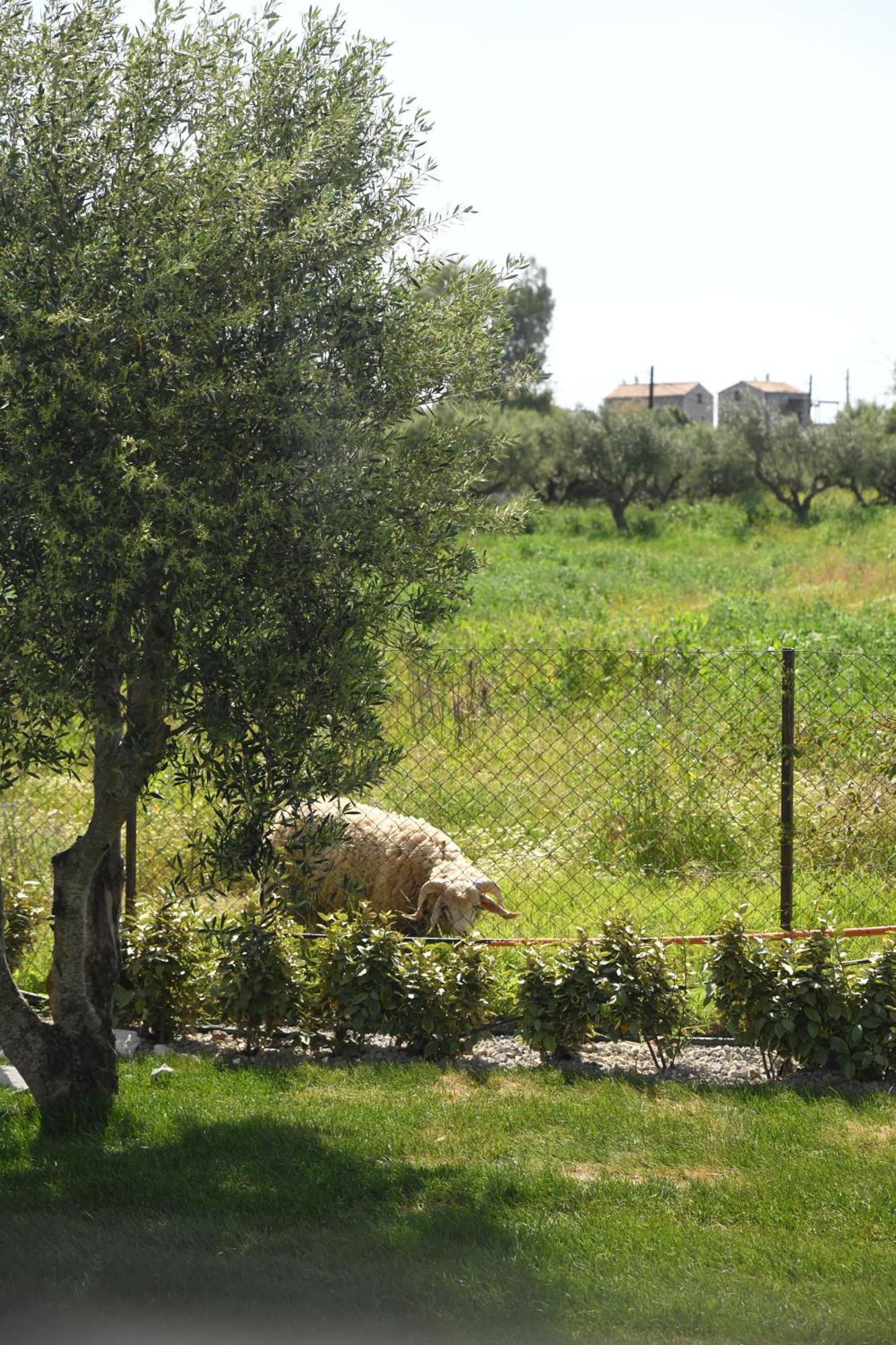 La Familia Luxury Private Maisonettes Near The Sea * Gythio